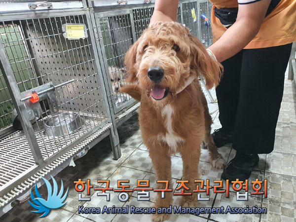 한국동물구조관리협회_441560202301007